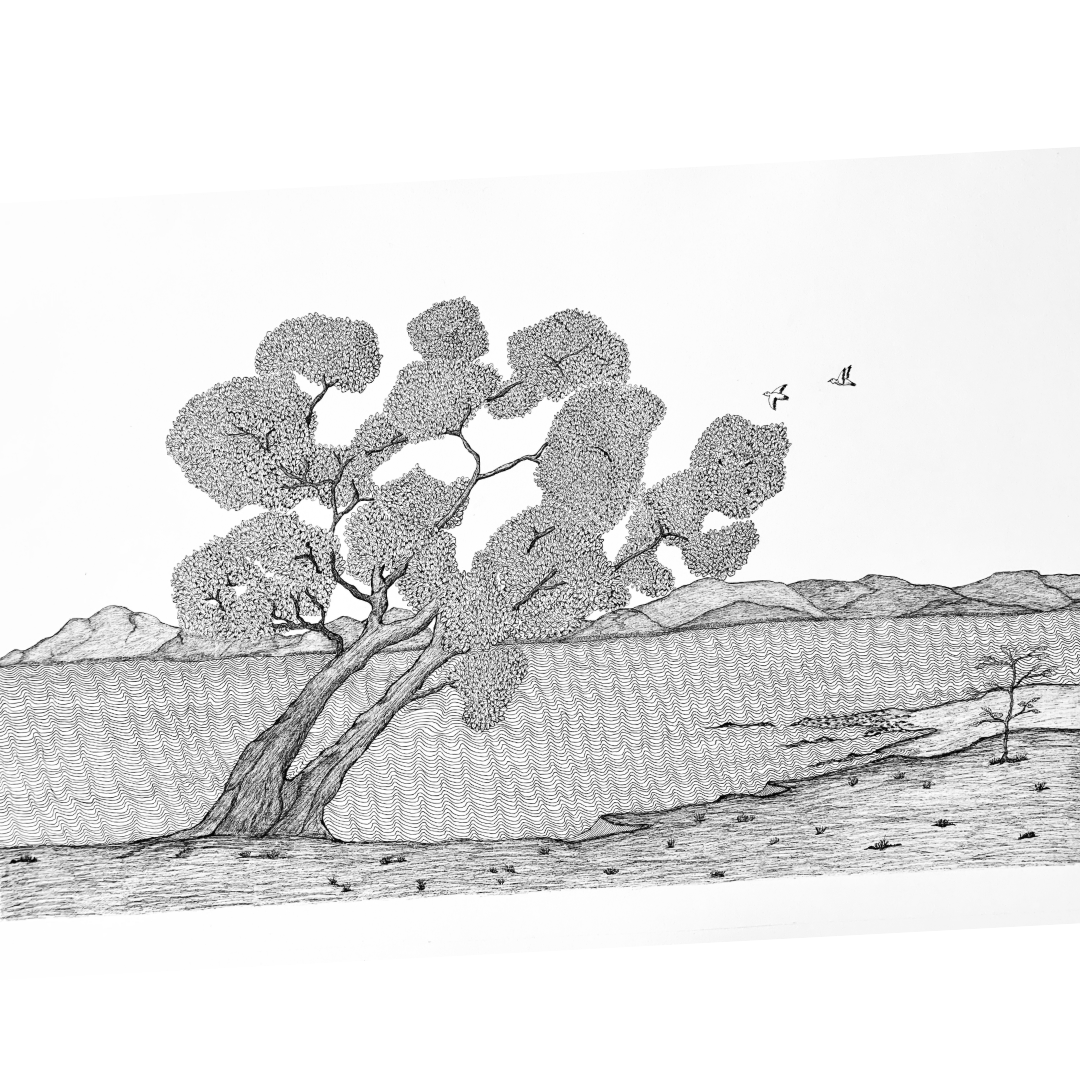 PETER B MORRISON | 'Wongai Tree II' | Pen and ink on archival paper