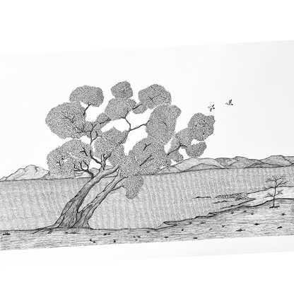 PETER B MORRISON | 'Wongai Tree II' | Pen and ink on archival paper