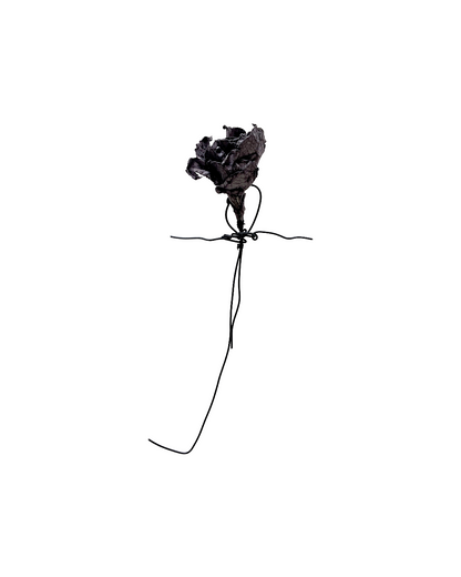 PAMELA KUSABS | ‘Budding (II)’ | 2025 | Paper / dried flower heads / stalk / wire