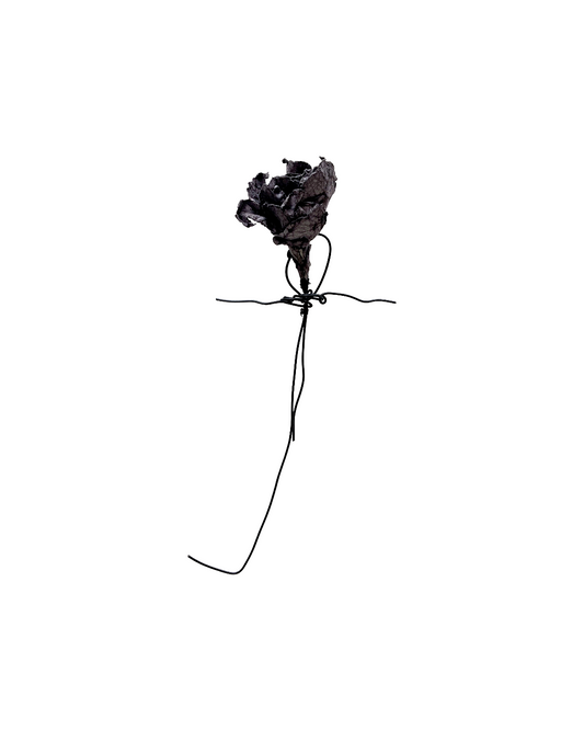 PAMELA KUSABS | ‘Budding (II)’ | 2025 | Paper / dried flower heads / stalk / wire