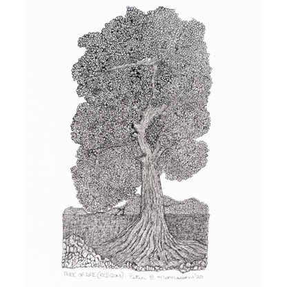 PETER B MORRISON | 'Tree of Life  (Red Gum)' | Framed drawing | Pen and ink on archival paper