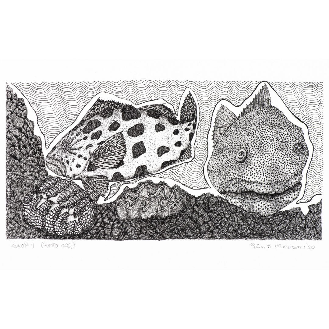 Peter B Morrison 'KUROP II' (POTATO COD)