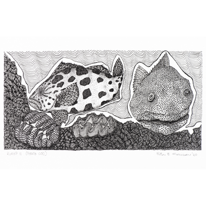 Peter B Morrison 'KUROP II' (POTATO COD)