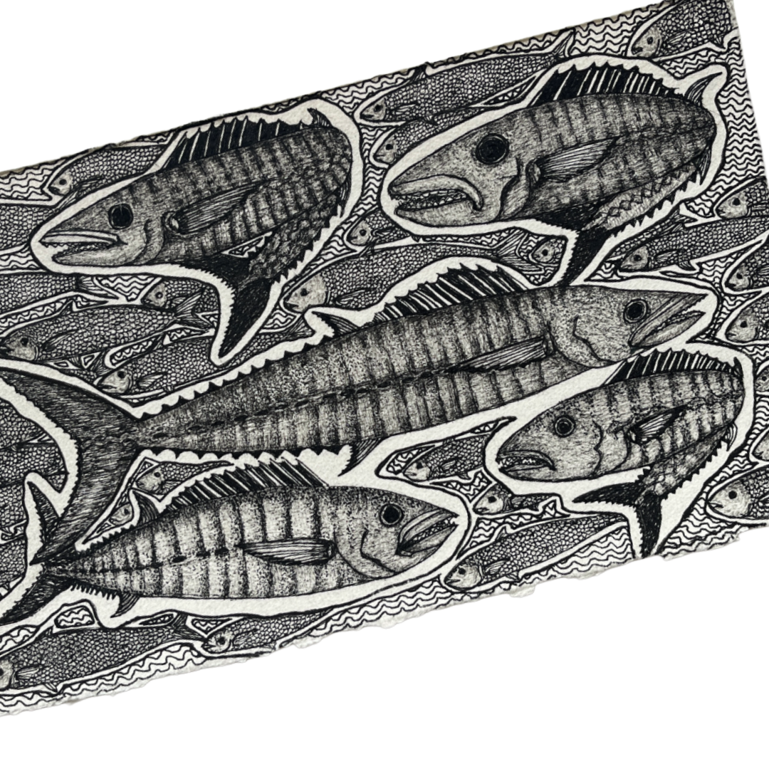 PETER B MORRISON | 'Spanish Mackerels Feeding' | 2024