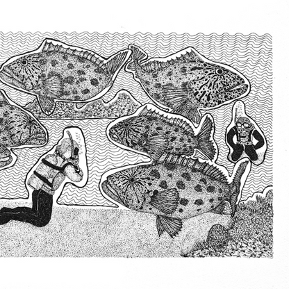 PETER B MORRISON | 'Feeding Potato Cod' | Pen + ink drawing