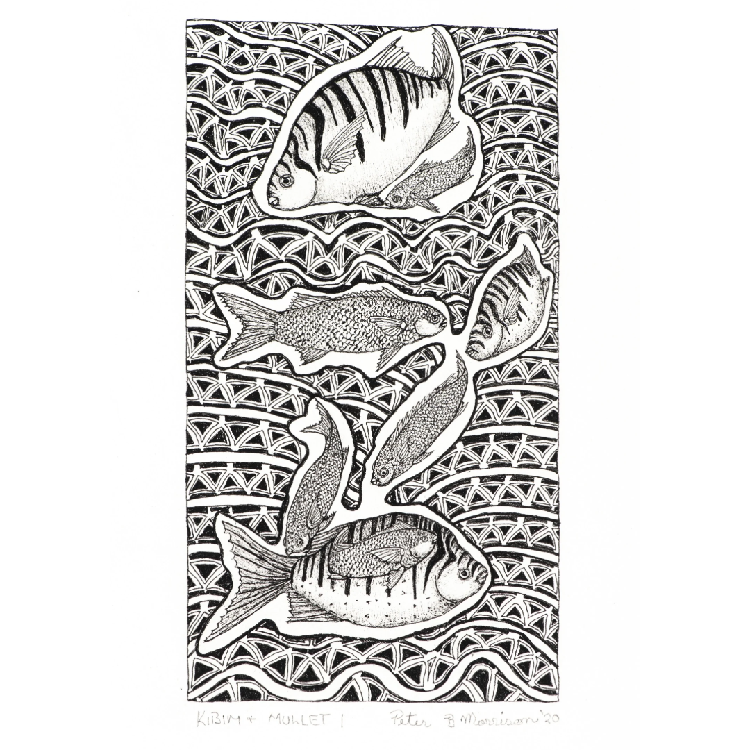 PETER B MORRISON | 'Kibim & Mullet I' Drawing | Pen and ink on archival paper