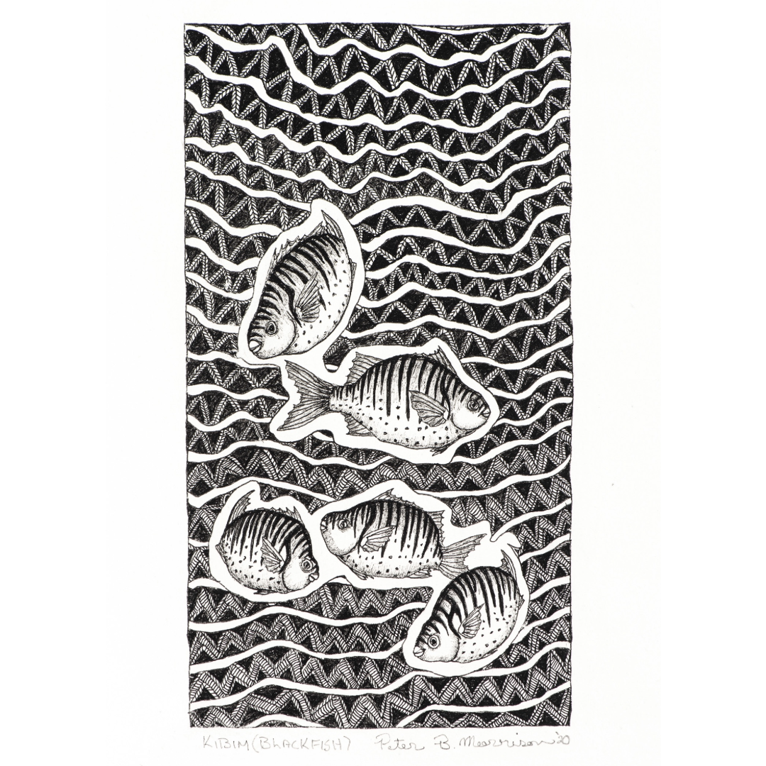 PETER B MORRISON | 'Kibim' (Black Fish) Drawing | Pen and ink on archival paper