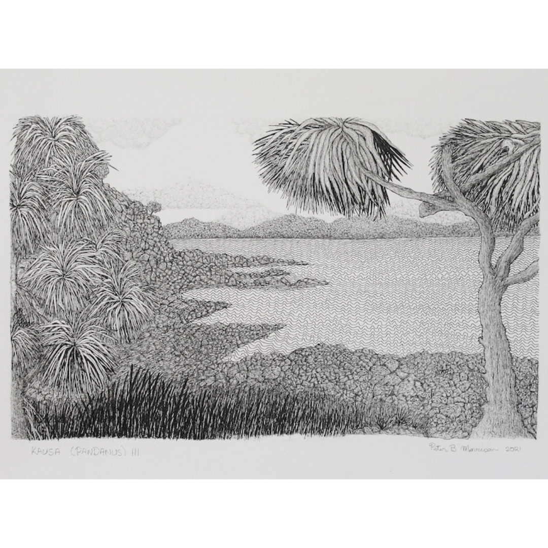 PETER B MORRISON | 'Kausa (Pandanus) III' Drawing | Pen and ink on archival paper