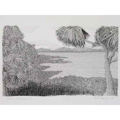 PETER B MORRISON | 'Kausa (Pandanus) III' Drawing | Pen and ink on archival paper