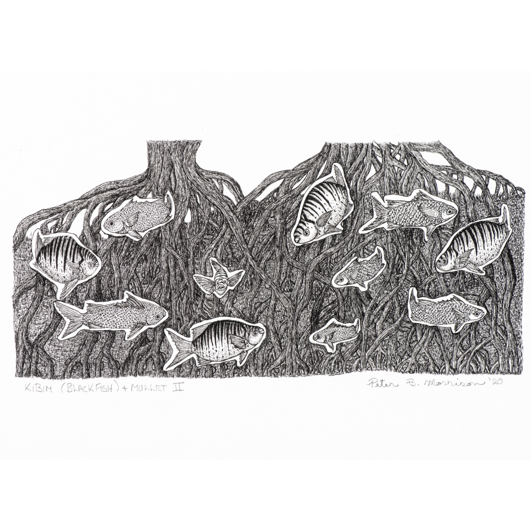 PETER B MORRISON | 'Kibim (Black Fish) & Mullet II' Drawing | Pen and ink on archival paper