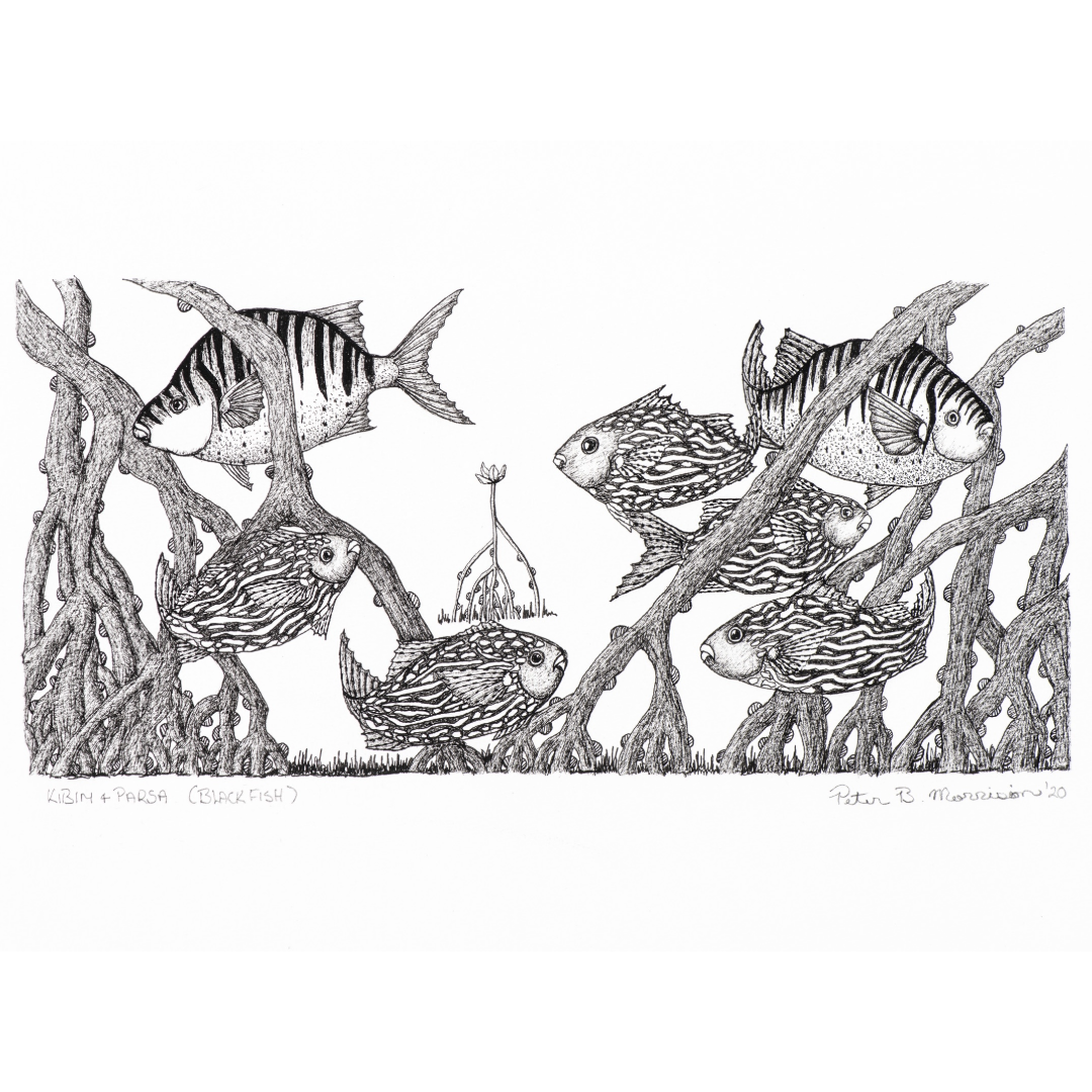 Peter B Morrison 'KIBIM & PARSA '(BLACK FISH)