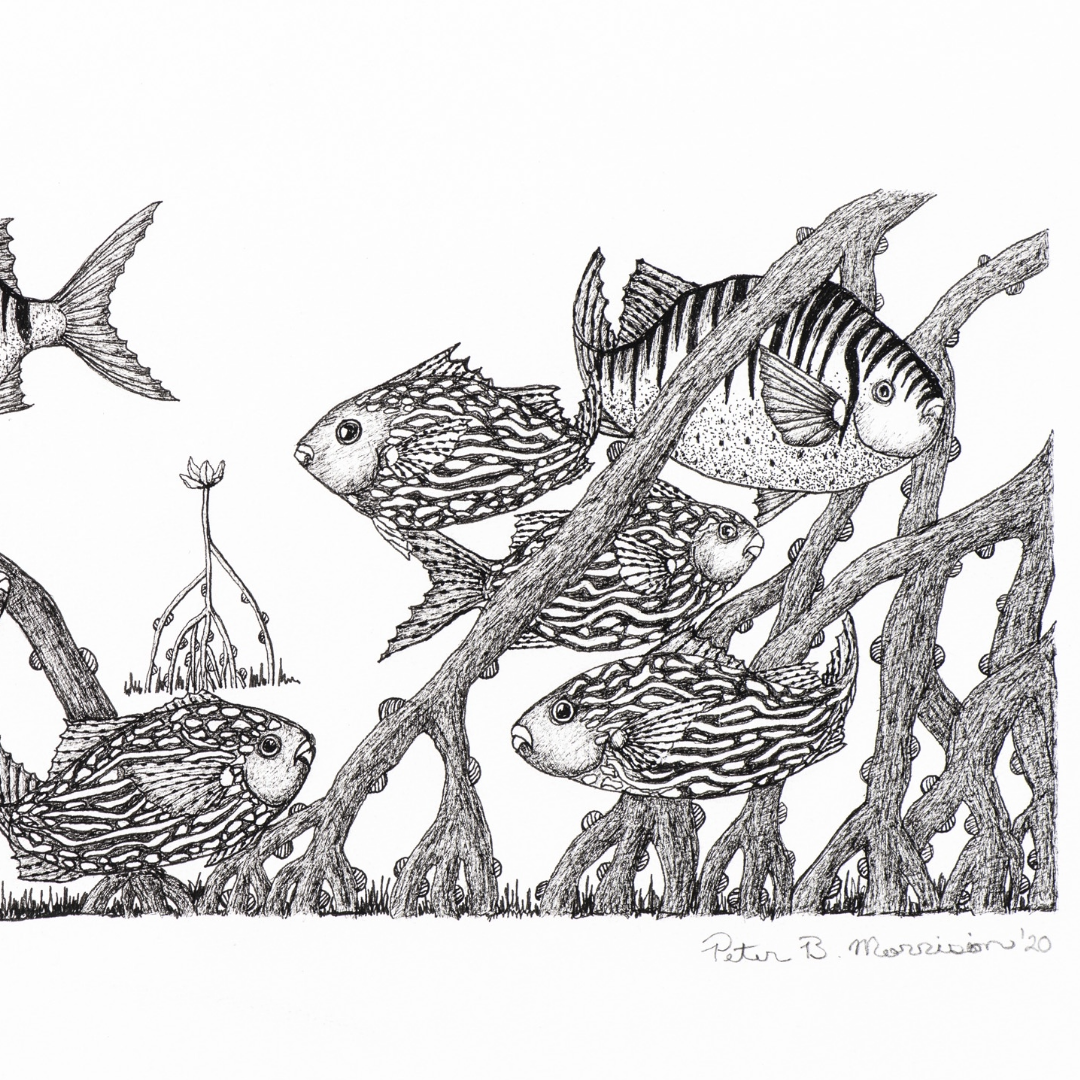 Peter B Morrison 'KIBIM & PARSA '(BLACK FISH)