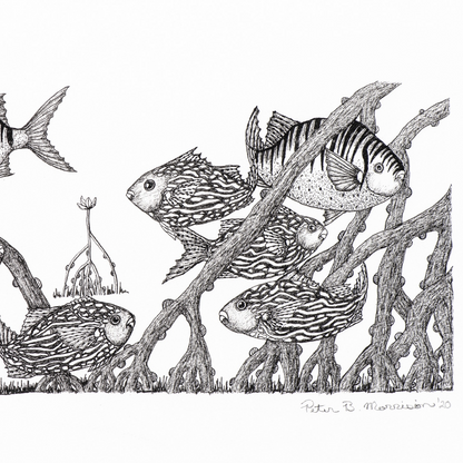 Peter B Morrison 'KIBIM & PARSA '(BLACK FISH)