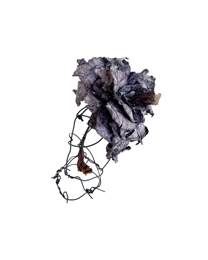 PAMELA KUSABS | ‘Simple Glory (III)’ | 2025 | Paper / dried flower heads / stalk / wire