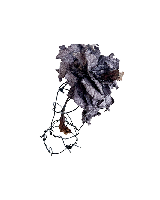 PAMELA KUSABS | ‘Simple Glory (III)’ | 2025 | Paper / dried flower heads / stalk / wire