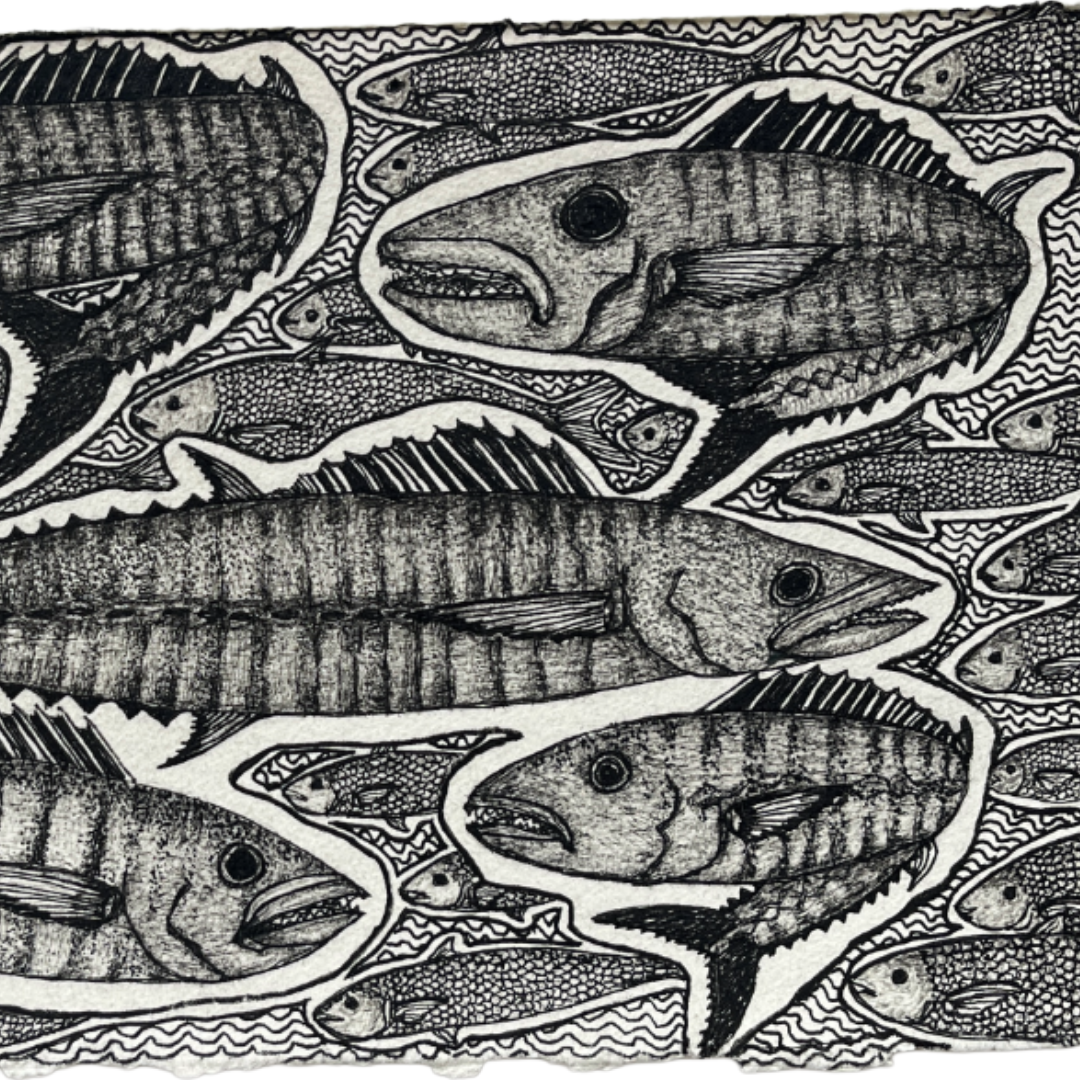 PETER B MORRISON | 'Spanish Mackerels Feeding' | 2024