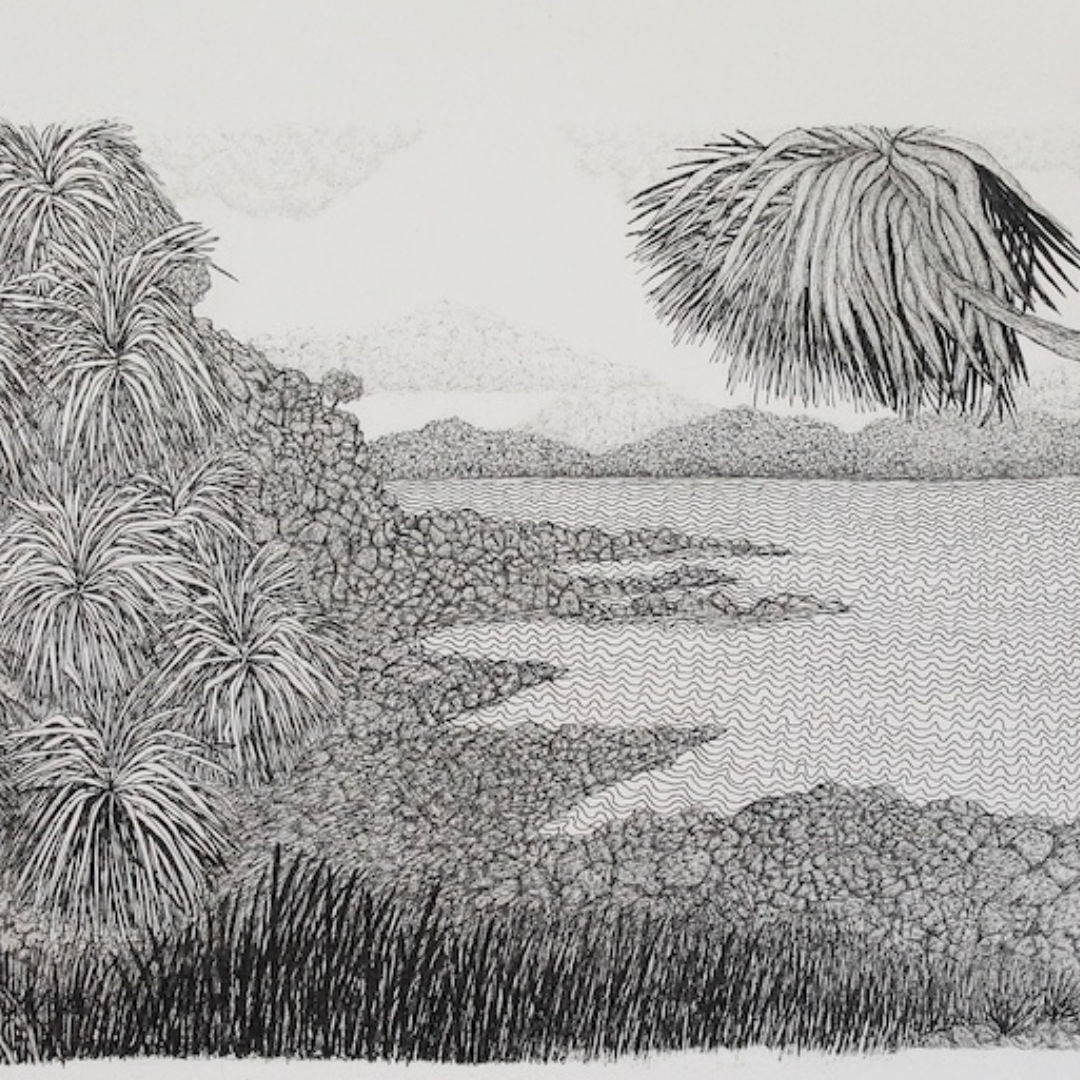 PETER B MORRISON | 'Kausa (Pandanus) III' Drawing | Pen and ink on archival paper