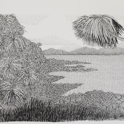 PETER B MORRISON | 'Kausa (Pandanus) III' Drawing | Pen and ink on archival paper