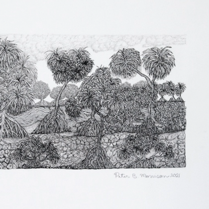 PETER B MORRISON | 'Kausa (Pandanus) II' Drawing | Pen and ink on archival paper