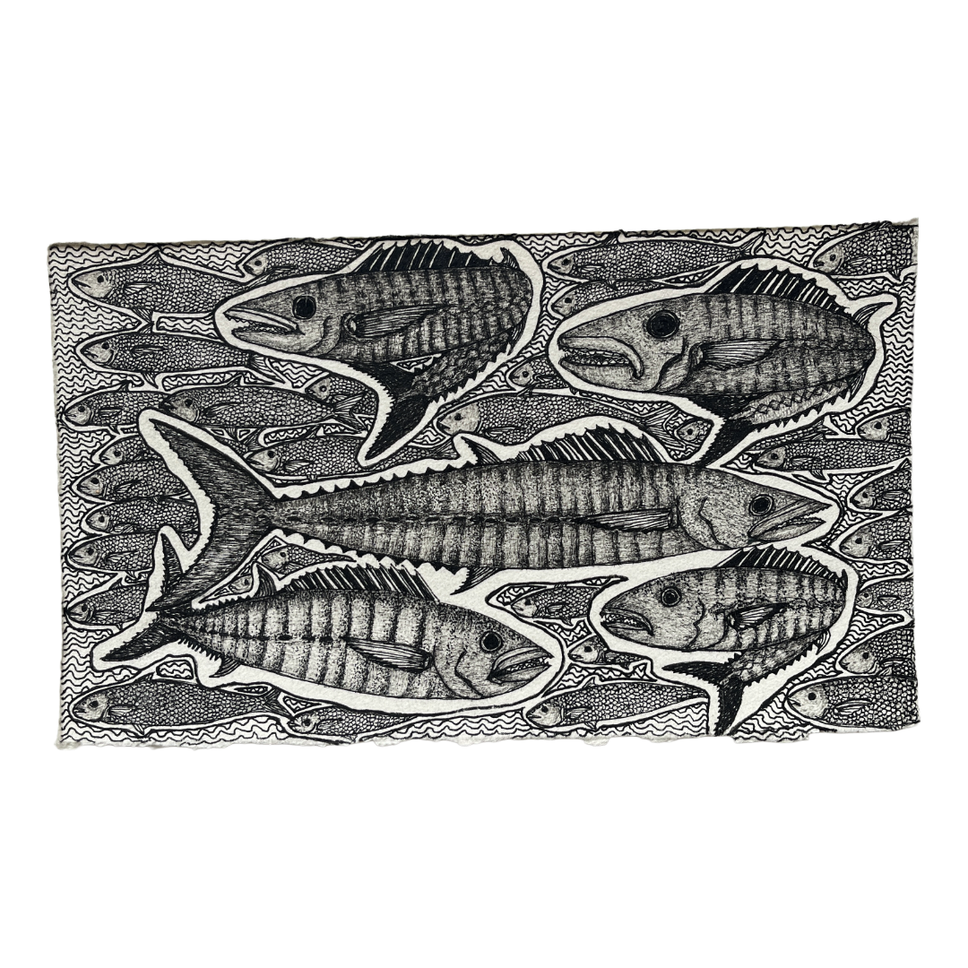 PETER B MORRISON | 'Spanish Mackerels Feeding' | 2024
