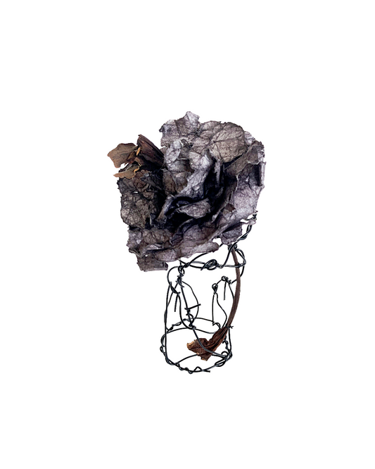 PAMELA KUSABS | ‘Simple Glory (IV)’ | 2025 | Paper / dried flower heads / stalk / wire