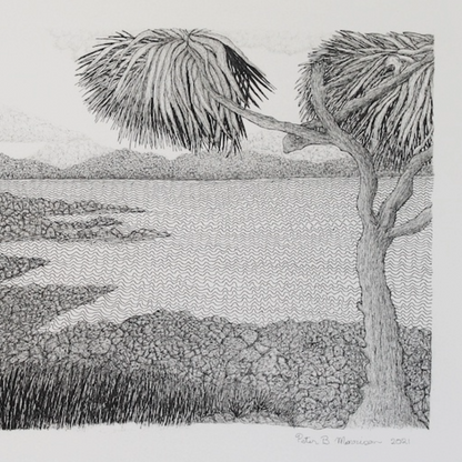 PETER B MORRISON | 'Kausa (Pandanus) III' Drawing | Pen and ink on archival paper