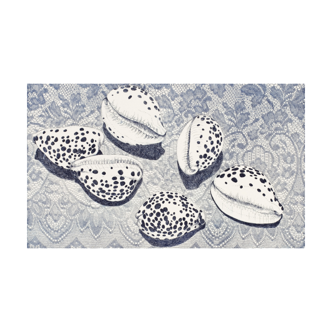 BRIAN ROBINSON | 'Cowries in a floral landscape' | Etching