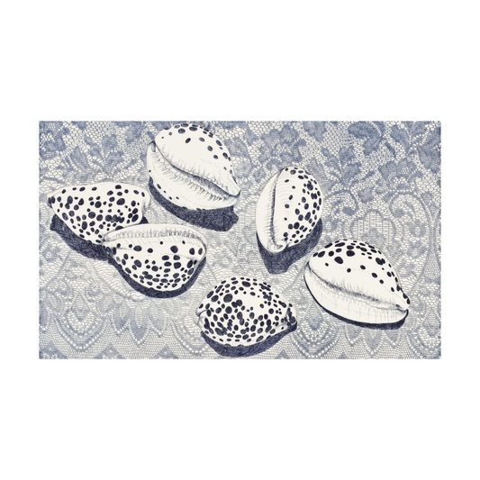 BRIAN ROBINSON | 'Cowries in a floral landscape' | Etching