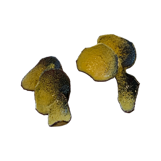 LOIS HAYES | ‘Shifting Contours - Earrings 5’ | 2025 | Enamel / recycled copper/ sterling silver