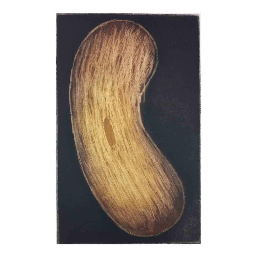 NAPOLEAN OUI | 'Madjay' | Etching