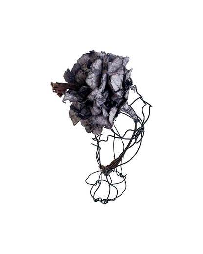 PAMELA KUSABS | ‘Simple Glory (V)’ | 2025 | Paper / dried flower heads / stalk / wire
