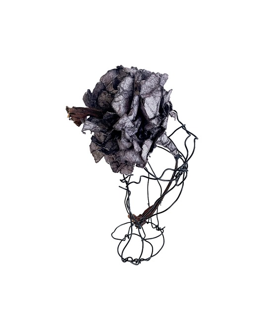 PAMELA KUSABS | ‘Simple Glory (V)’ | 2025 | Paper / dried flower heads / stalk / wire