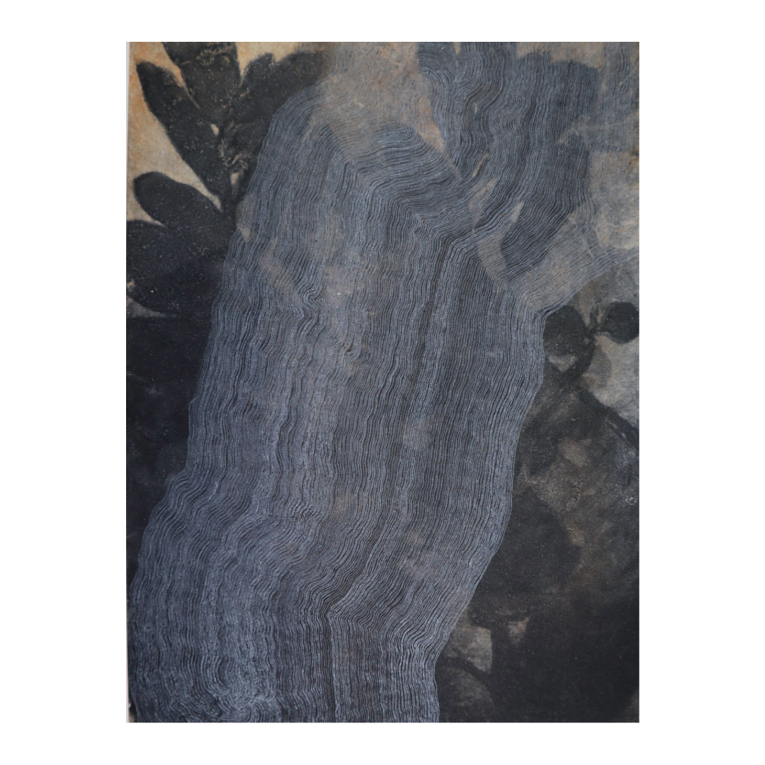 DIAN DARMANSJAH | 'Bedroom Shadows' | Engraving / Etching and Monotype