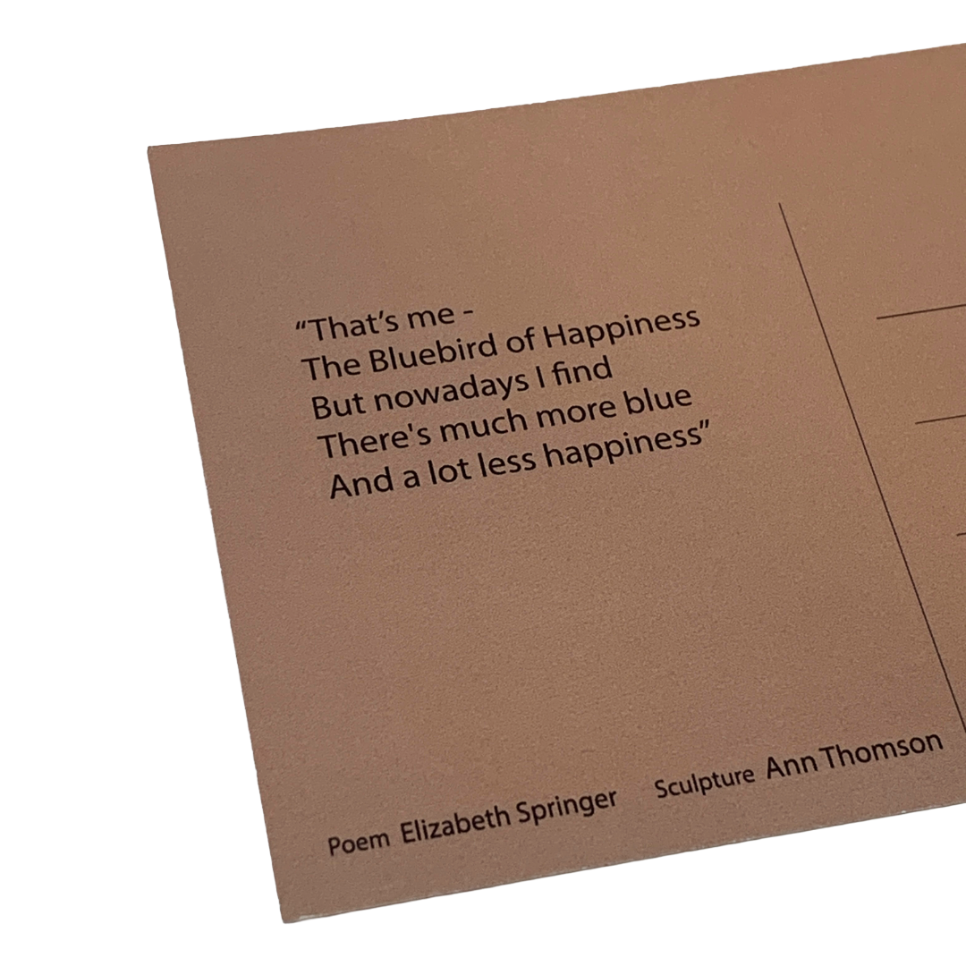 MONSOON PUBLISHING | ‘From the Beach’ Artist Postcard Pack | Ann Thomson | 2024 | Postcards in box