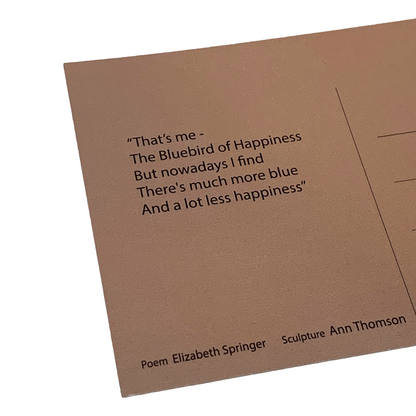 MONSOON PUBLISHING | ‘From the Beach’ Artist Postcard Pack | Ann Thomson | 2024 | Postcards in box