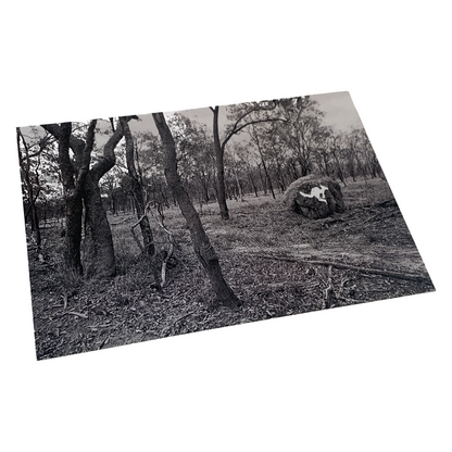 MONSOON PUBLISHING | ‘Monuments’ Artist Postcard Pack | Glen O'Malley | 2025 | Postcards in box with sticker