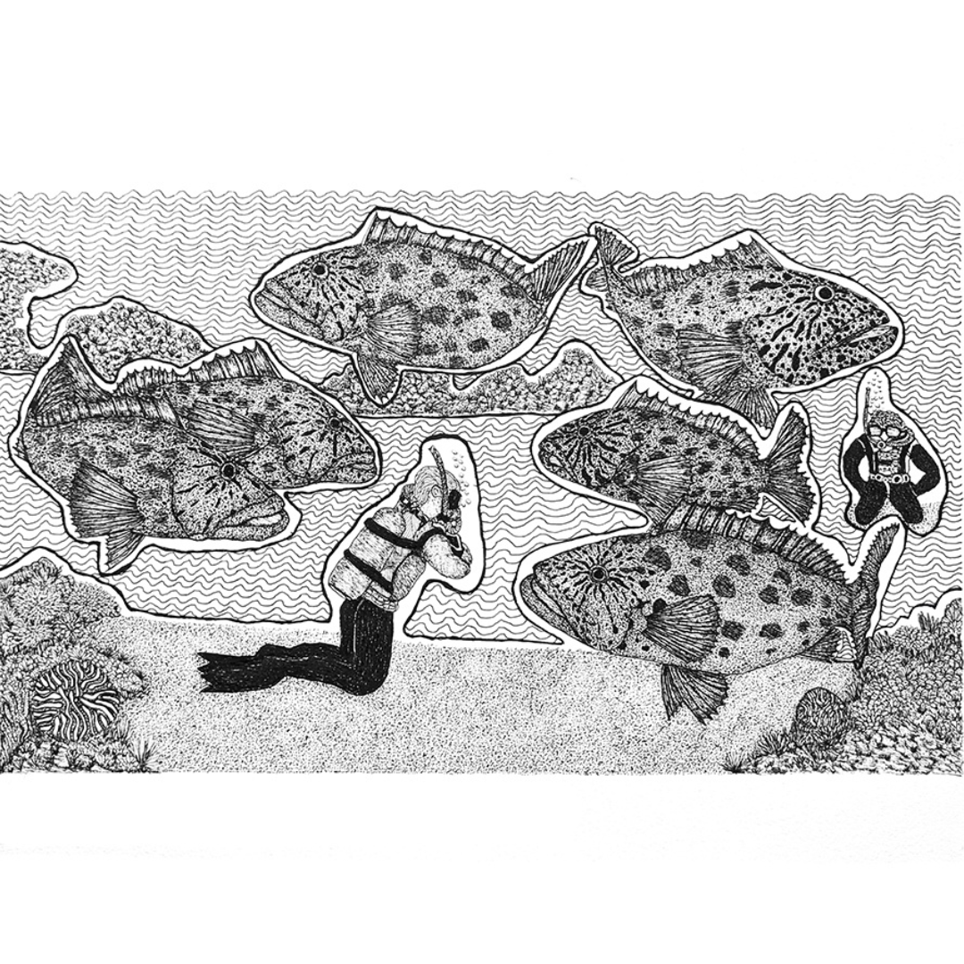 PETER B MORRISON | 'Feeding Potato Cod' | Pen + ink drawing