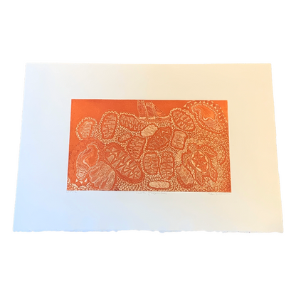 PETER B MORRISON | 'Clams (Tridacnidae)' | Etching | Rust