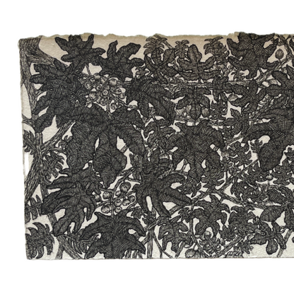 PETER B MORRISON | ‘Fig Tree (Moraceae)’ | Pen + Ink drawing