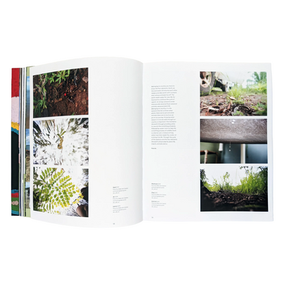 IACA | 'Belonging / Stories from Far North Queensland' | Publication