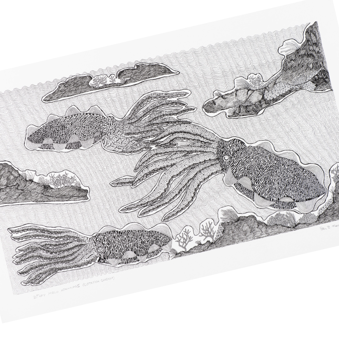 PETER B MORRISON |'Bithay Malu Apawlag II (Cuttlefish Garden)' | Pen + ink on archival paper / framed