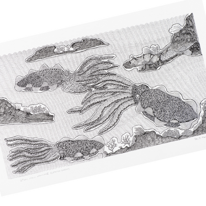 PETER B MORRISON |'Bithay Malu Apawlag II (Cuttlefish Garden)' | Pen + ink on archival paper / framed
