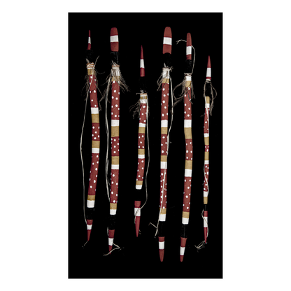 HEATHER KOOWOOTHA | 'Yuk Yaumen - Digging Stick Installation' | Timber / feathers / acrylic paints / ochres