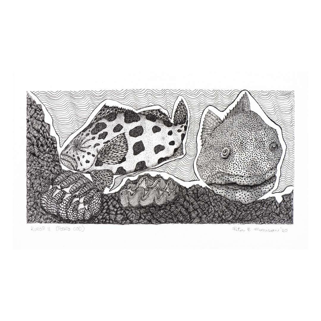 Peter B Morrison 'KUROP II' (POTATO COD)