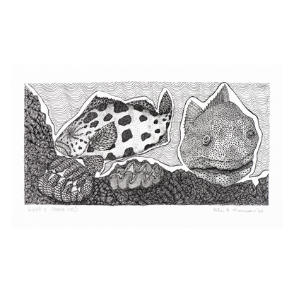 Peter B Morrison 'KUROP II' (POTATO COD)