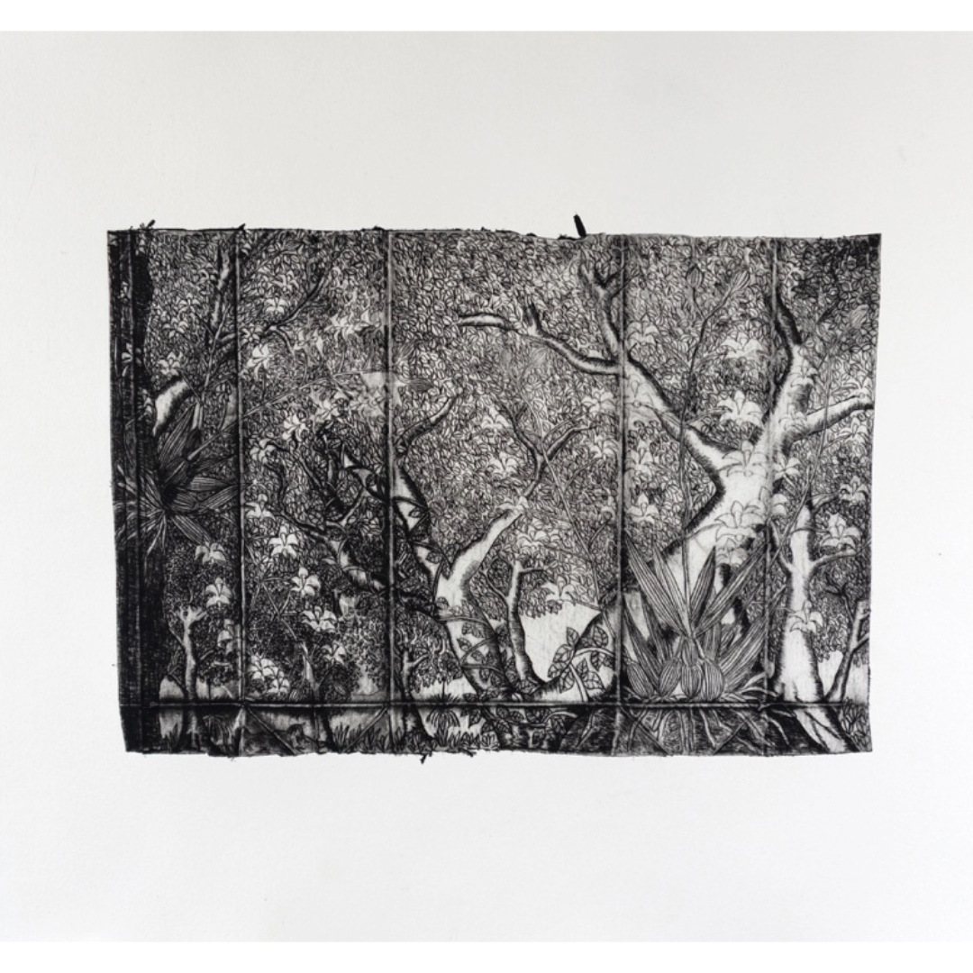 PETER B  MORRISON  | 'Cooktown Orchid' | Drypoint etching