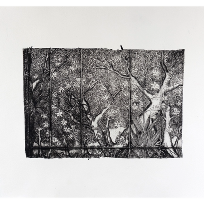 PETER B  MORRISON  | 'Cooktown Orchid' | Drypoint etching