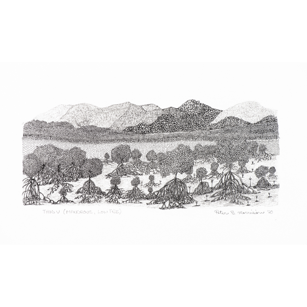 PETER B MORRISON | 'Thag V' (Mangrove, Low Tide) Drawing | Pen and ink on archival paper. Framed