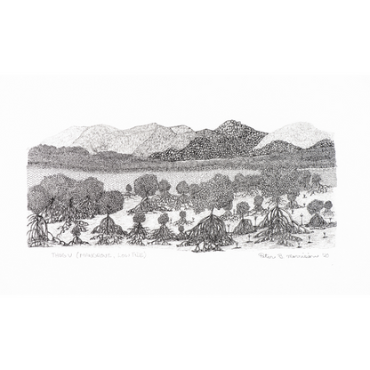 PETER B MORRISON | 'Thag V' (Mangrove, Low Tide) Drawing | Pen and ink on archival paper. Framed