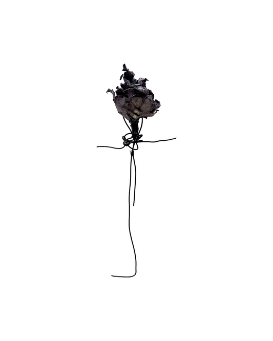 PAMELA KUSABS | ‘Budding (I)’ | 2025 | Paper / dried flower heads / stalk / wire